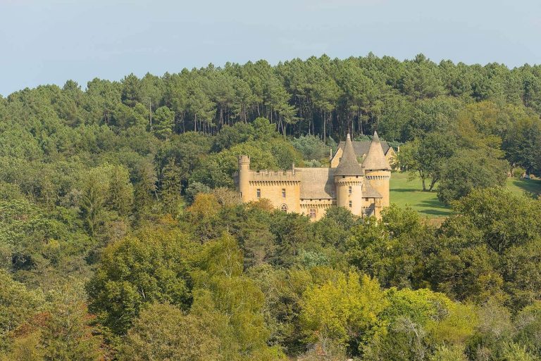 Château de Puymartin: A Medieval Fortress in France