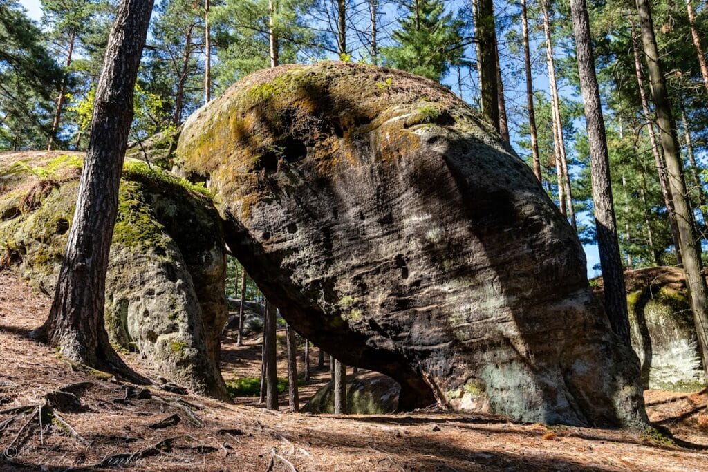 Pařez Castle: A Medieval Fortress in the Czech Republic 6 Pařez Castle