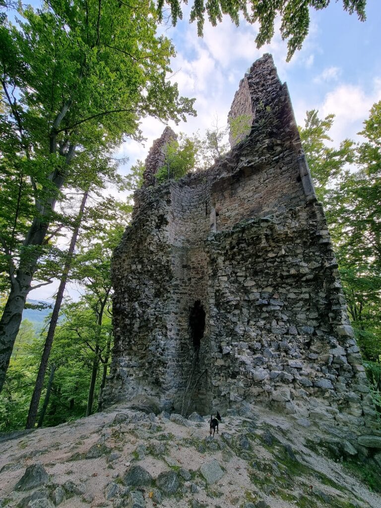 Kaltenštejn Castle: A Medieval Fortress in the Czech Republic 7 Kaltenštejn