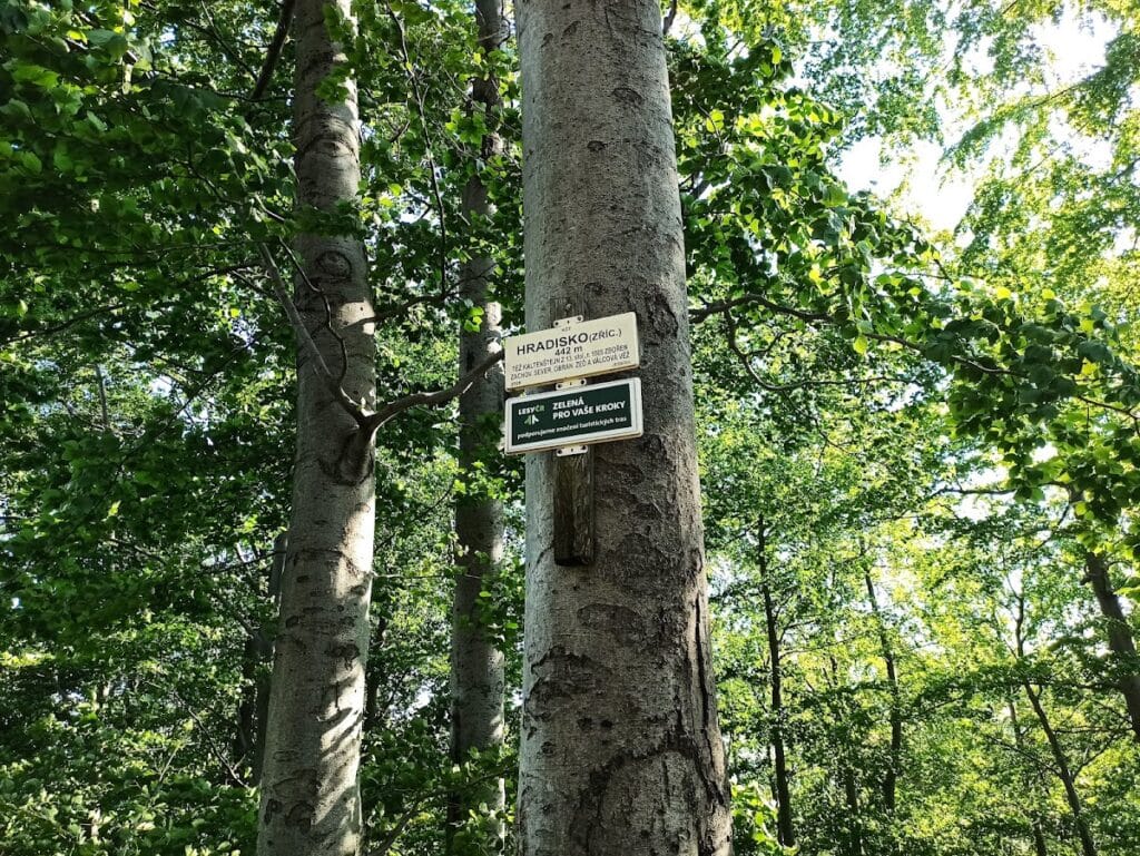 Kaltenštejn Castle: A Medieval Fortress in the Czech Republic 10 Kaltenštejn