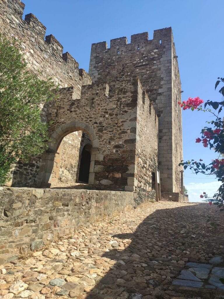 Castle of Terena