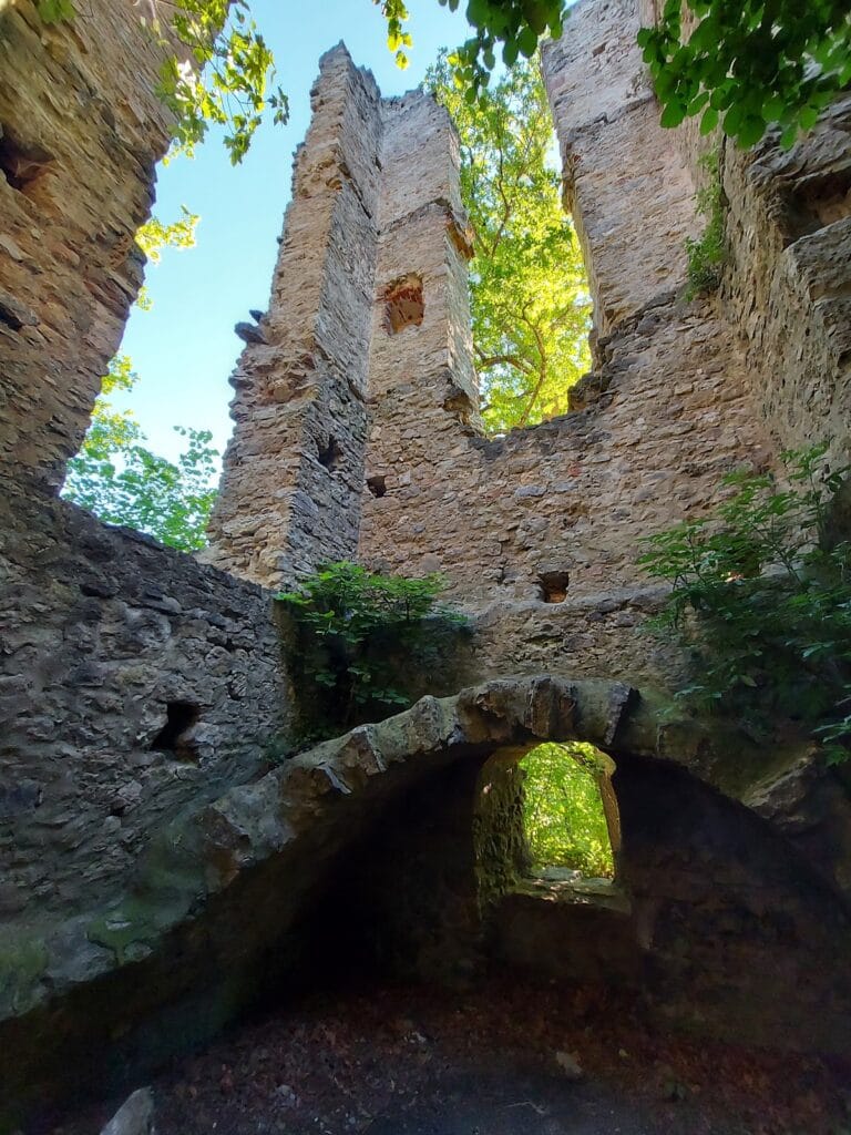 Neckarburg: A Medieval Hill Castle near Rottweil, Germany