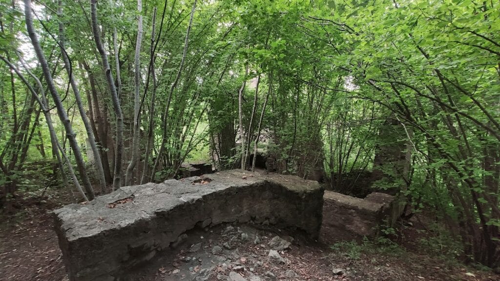 Neckarburg: An Early Medieval Hill Castle in Germany 3 Neckarburg