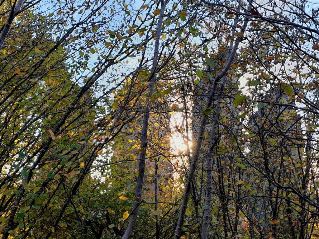 Neckarburg: An Early Medieval Hill Castle in Germany 4 Neckarburg