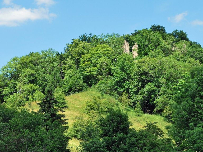 Neckarburg: An Early Medieval Hill Castle in Germany