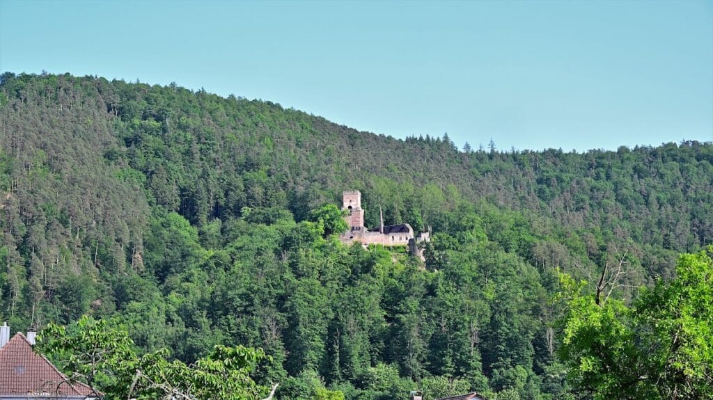 Burg Freudenberg: A Medieval Fortress in Germany 9 Burg Freudenberg