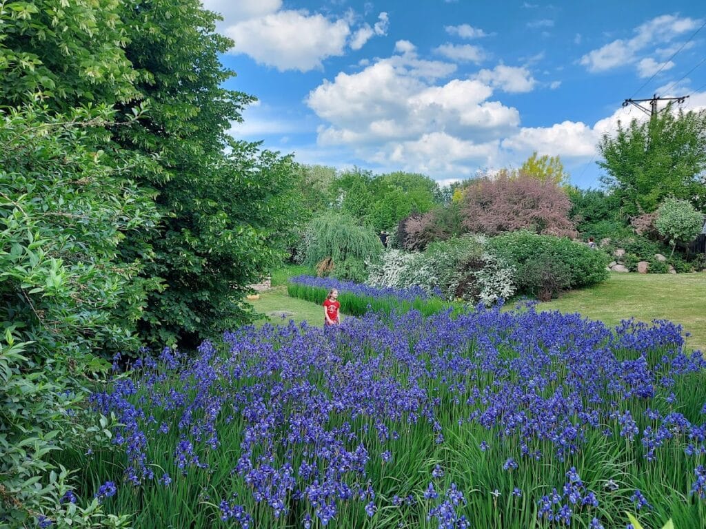 Łowicz Castle: A Historic Ecclesiastical Residence in Poland 7 Łowicz Castle