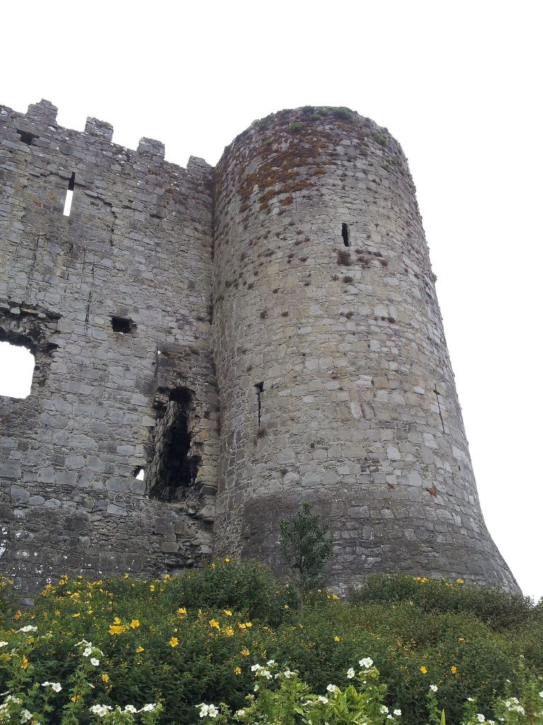 Carlow Castle: A Norman Keep on the River Barrow in Ireland 2 Carlow Castle