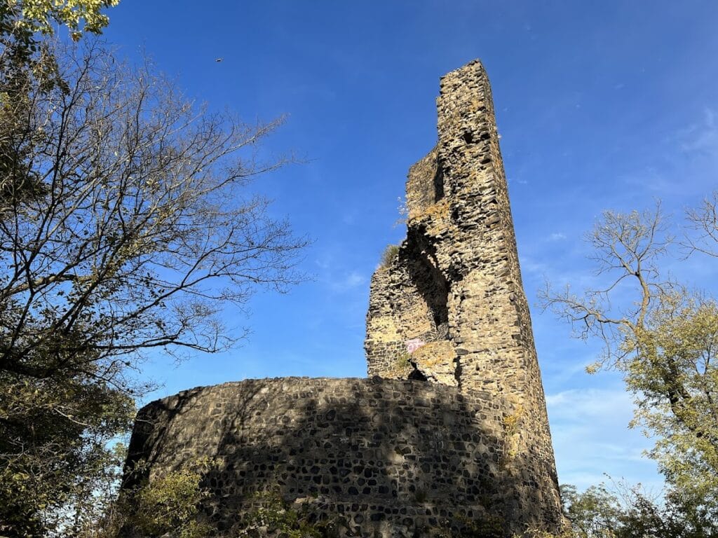 Tomburg Castle: A Medieval Hill Castle Ruin in Germany 1 Tomburg Castle