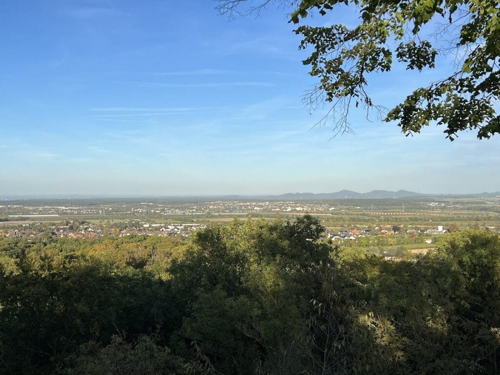 Tomburg Castle: A Medieval Hill Castle Ruin in Germany 3 Tomburg Castle