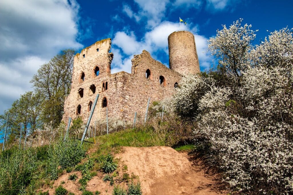 Strahlenburg: A Medieval Hilltop Castle Ruin in Germany 1 Strahlenburg