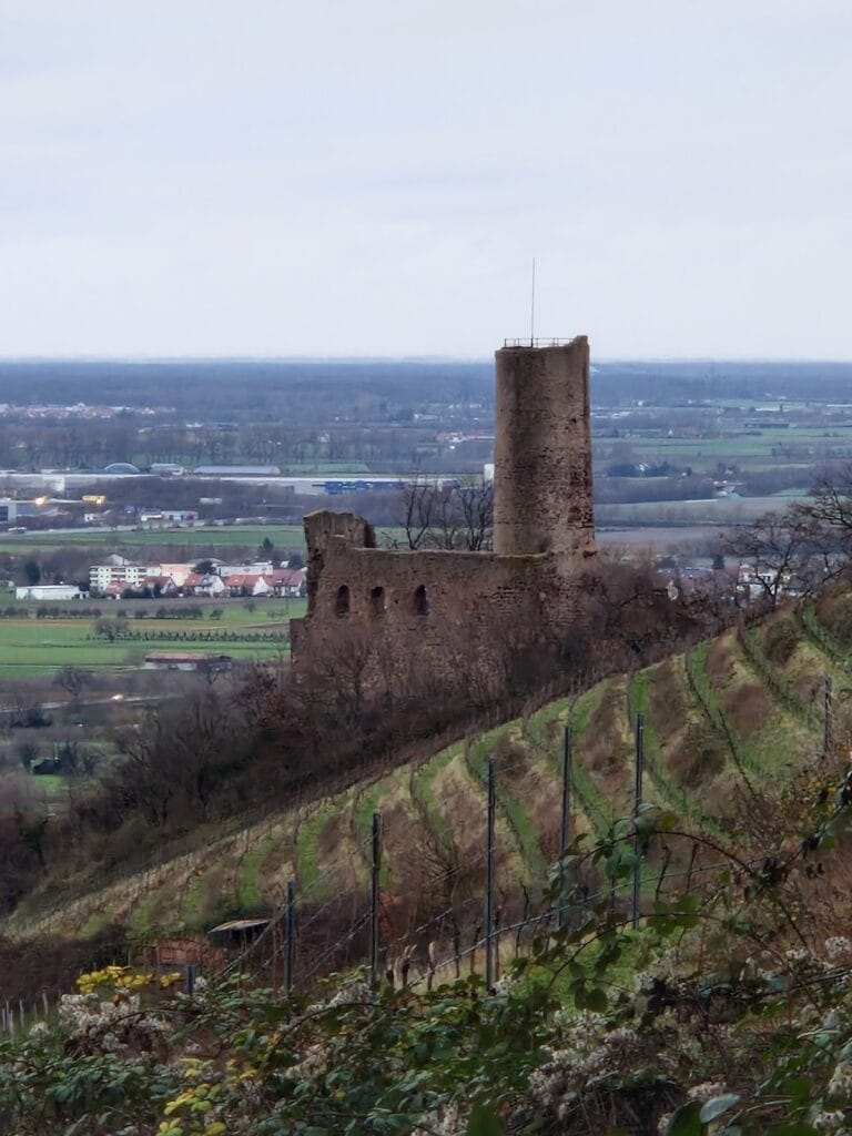 Strahlenburg Castle A Medieval Fortress In Schriesheim Germany Strahlenburg Castle A Medieval Fortress In Schriesheim Germany