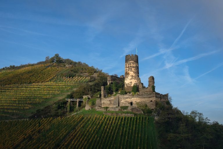 Fürstenberg Castle: A Medieval Hillside Fortress in Germany