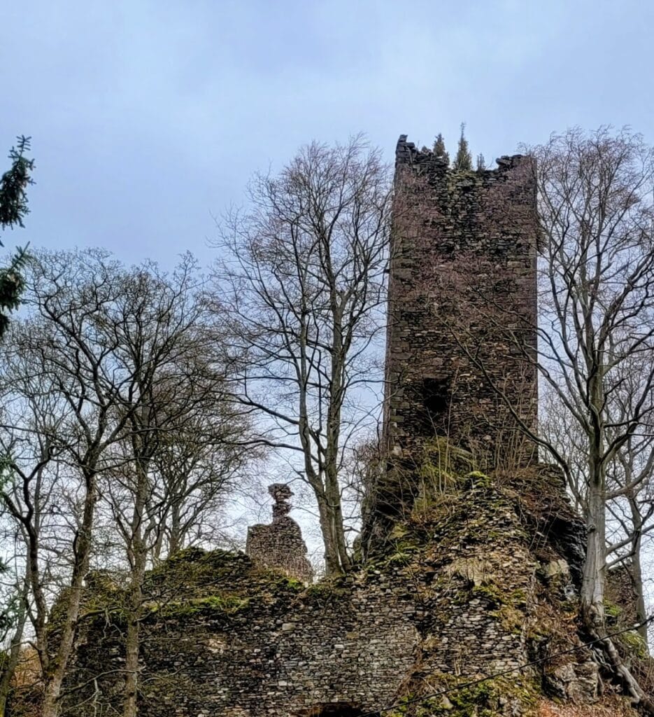 Rýzmburk Castle (Osek): A Gothic Noble Stronghold in Czechia 2 Rýzmburk castle (Osek)