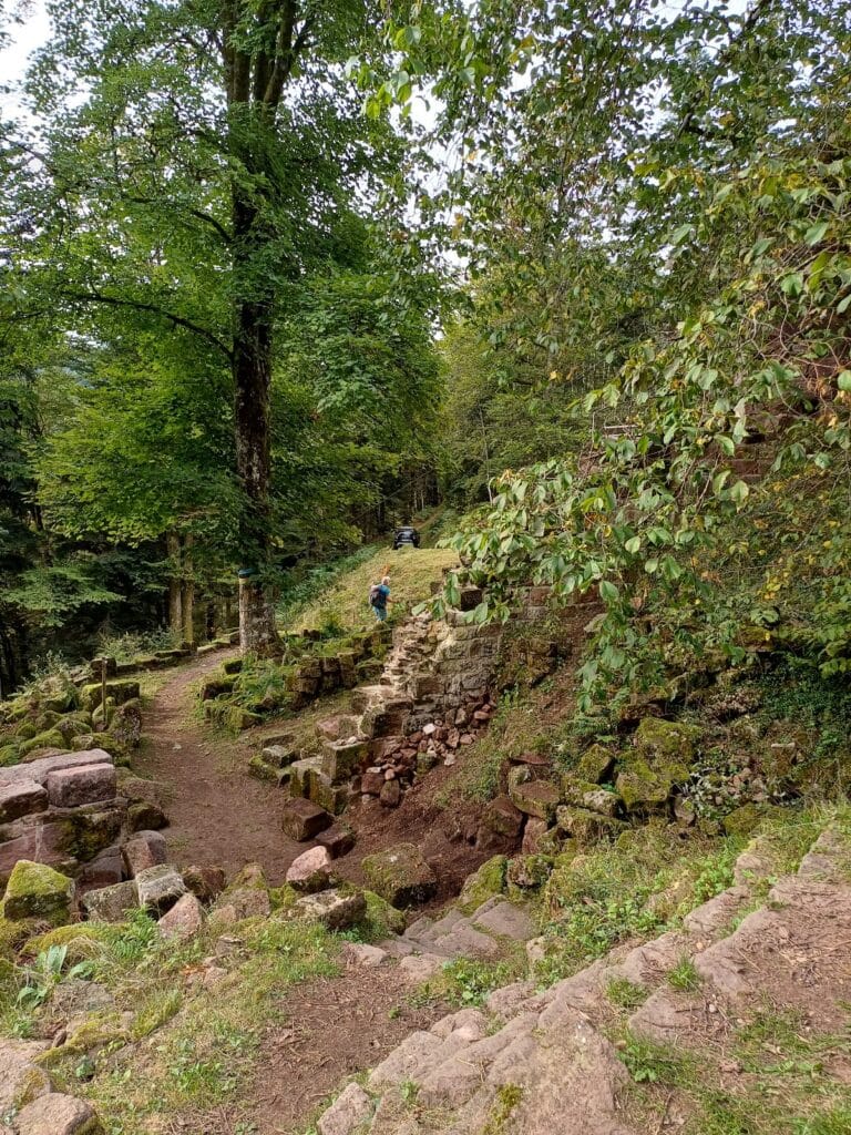 Château de Salm