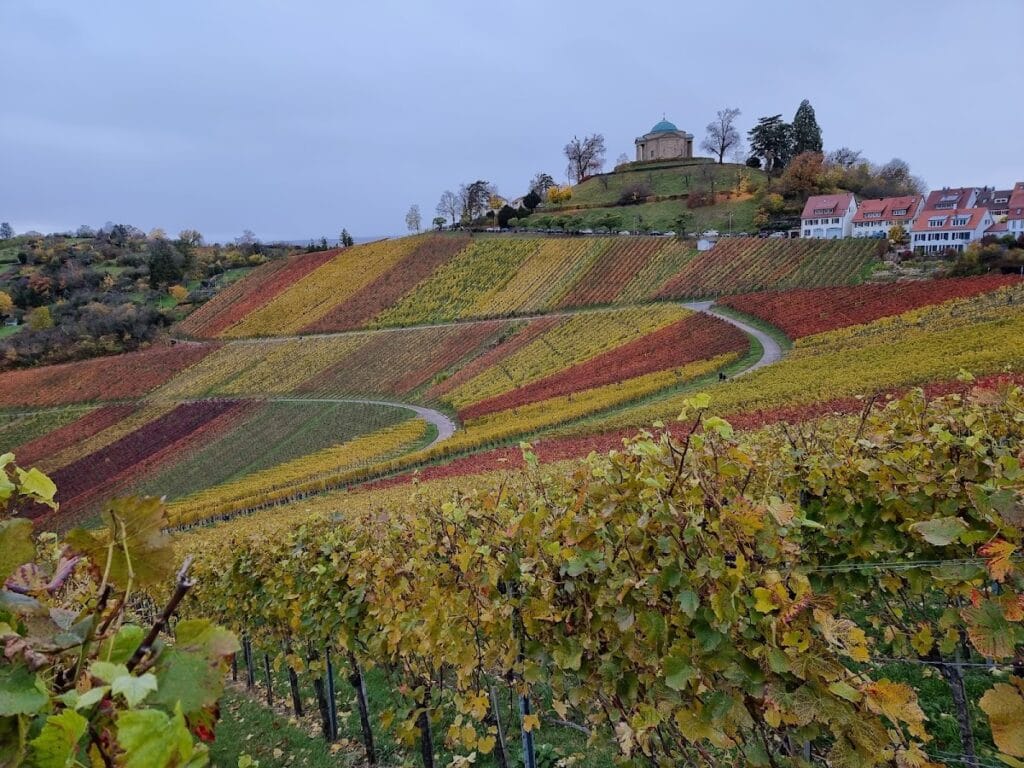 Wirtemberg Castle: Ancestral Seat of the House of Württemberg near Stuttgart 9 Wirtemberg Castle