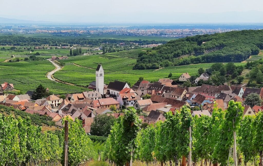 Château du Wineck: A Medieval Castle in Katzenthal, France 7 Château du Wineck