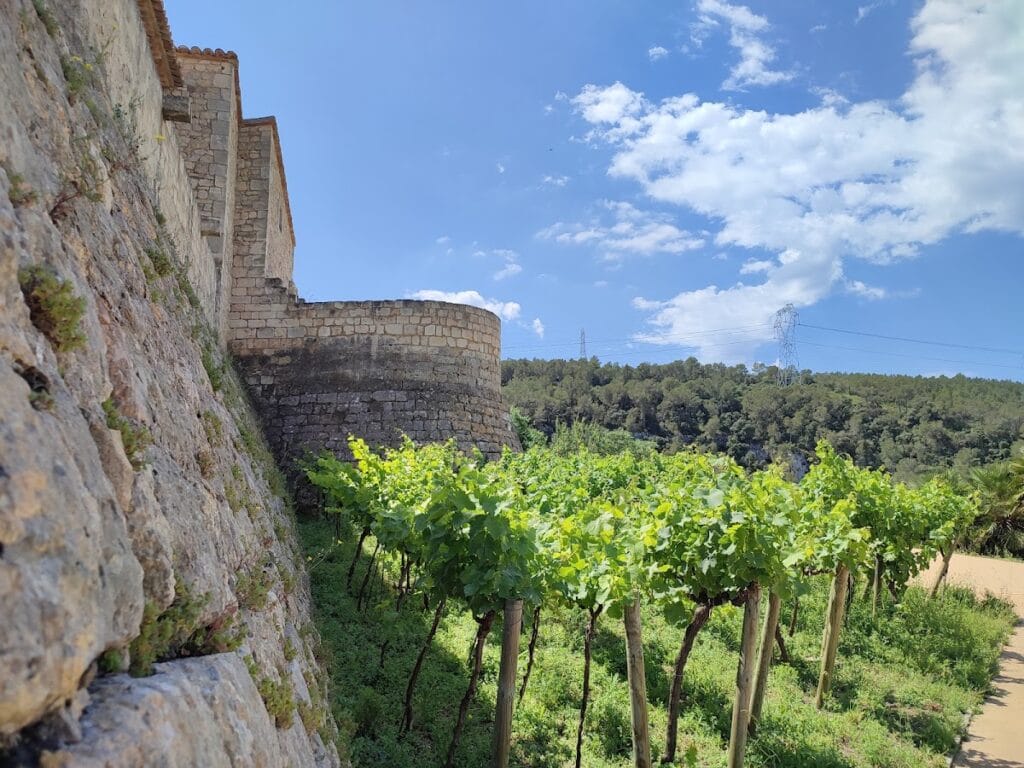 Castle of Sant Martí Sarroca
