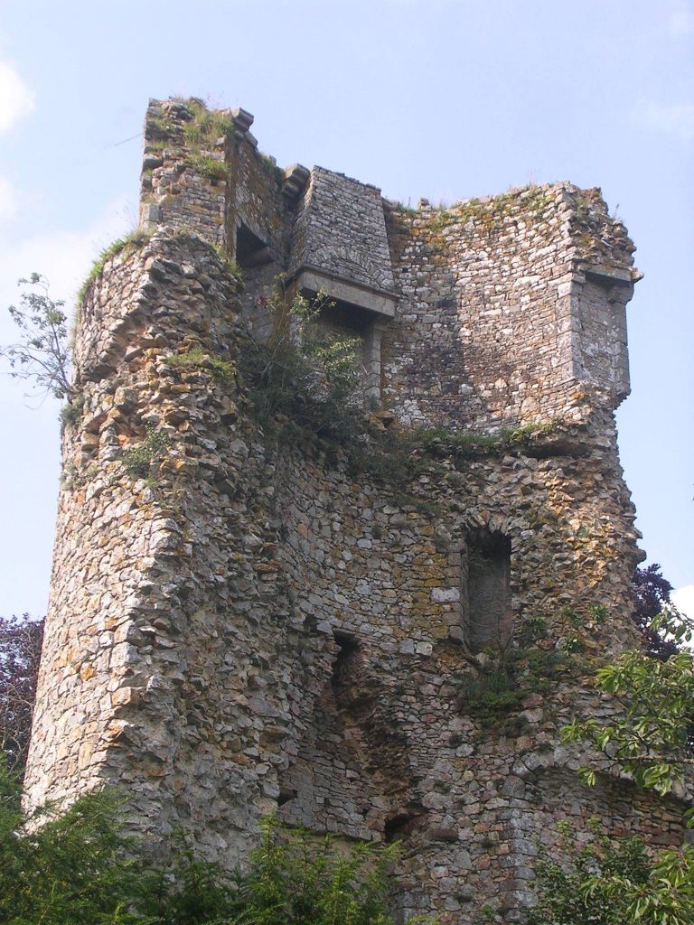 Château de Saint-Aubin-du-Cormier: A Medieval Breton Frontier Castle