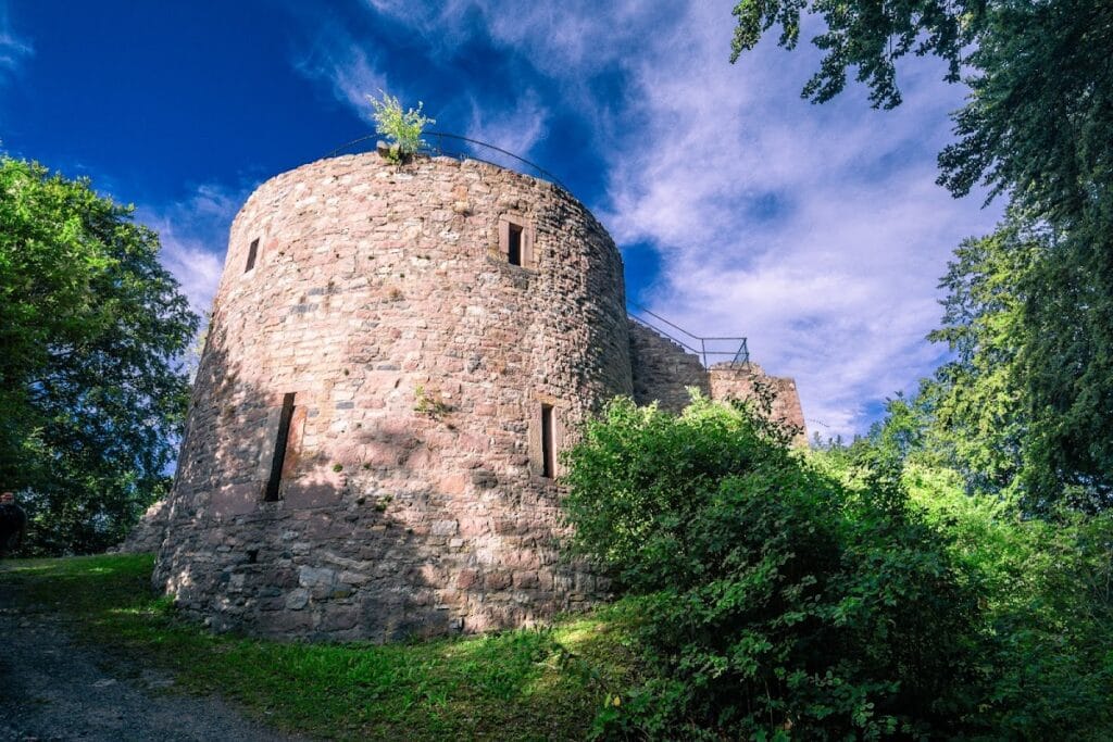 Steckelberg Castle
