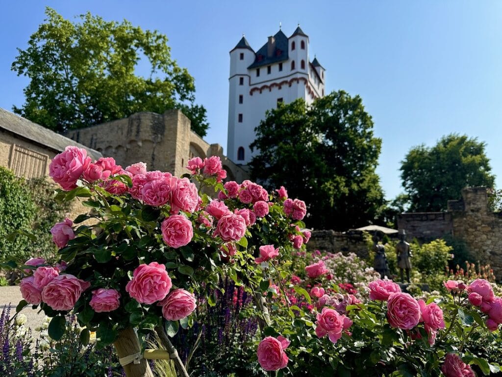 Burg Eltville: A Medieval Urban Castle and Elector’s Residence in Germany 1 Burg Eltville