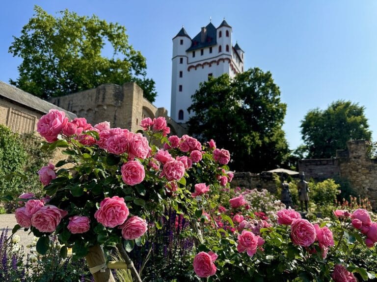 Burg Eltville: A Medieval Castle in Eltville am Rhein, Germany
