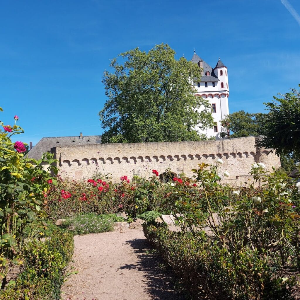 Burg Eltville: A Medieval Urban Castle and Elector’s Residence in Germany 2 Burg Eltville