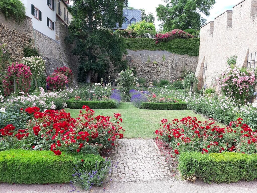 Burg Eltville: A Medieval Urban Castle and Elector’s Residence in Germany 3 Burg Eltville