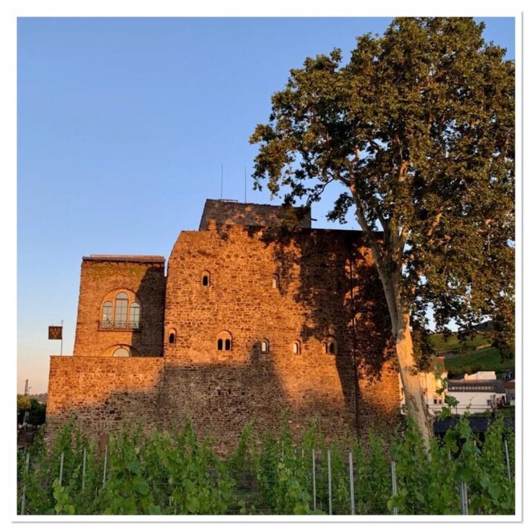 Brömserburg: A Historic Stone Castle in Rüdesheim am Rhein