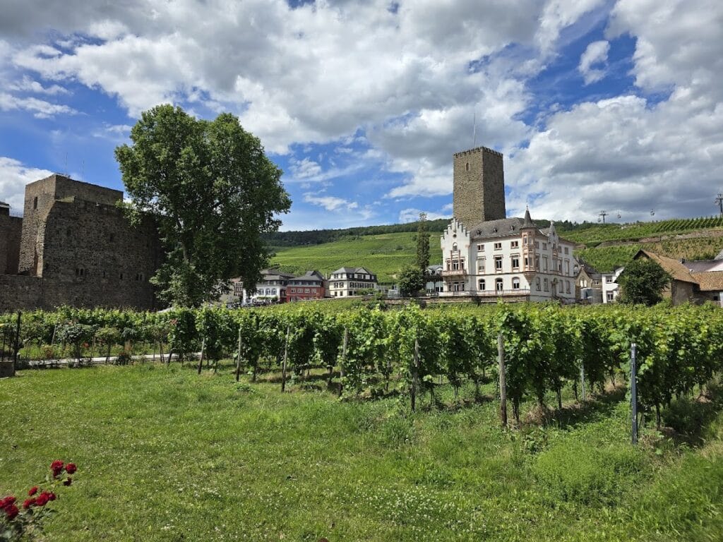 Brömserburg: A Medieval Castle in Rüdesheim am Rhein 3 Brömserburg