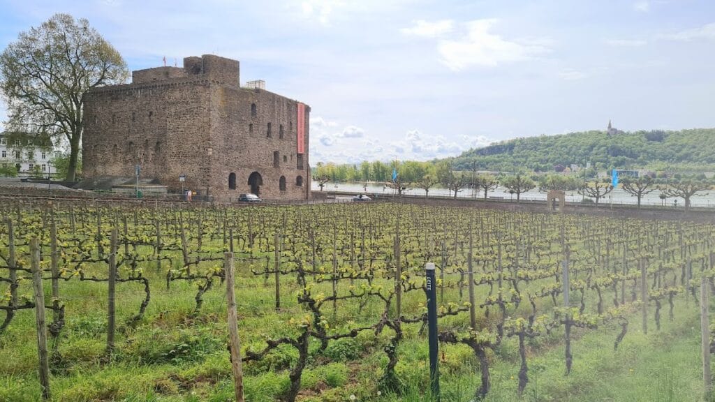 Brömserburg: A Medieval Castle in Rüdesheim am Rhein 4 Brömserburg