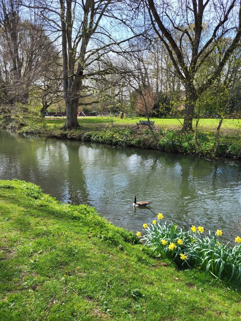 Hertford Castle: A Norman Fortress and Royal Palace in England 2 Hertford Castle