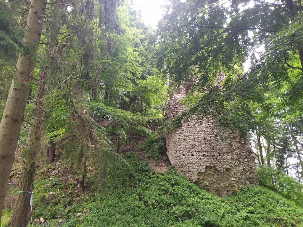 Castle ruin of Kynžvart