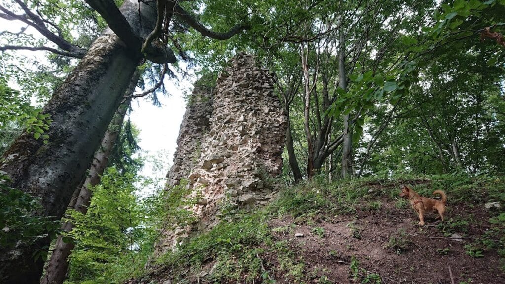 Castle ruin of Kynžvart