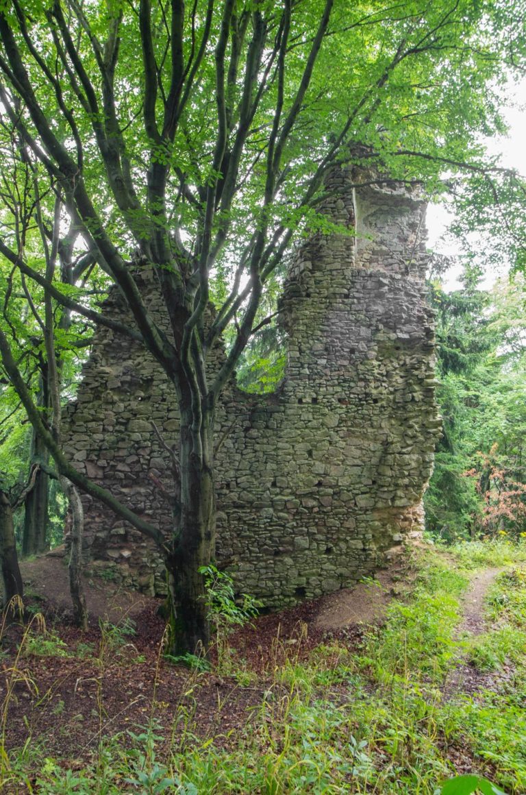 Castle Ruin of Kynžvart: A Medieval Frontier Watch Castle in Czechia