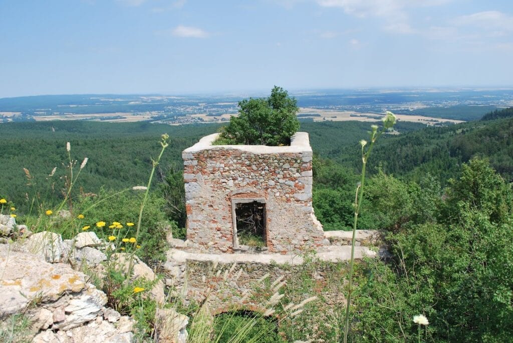 Landsee Castle Ruins: A Medieval Border Fortress in Austria 3 Landsee castle ruins