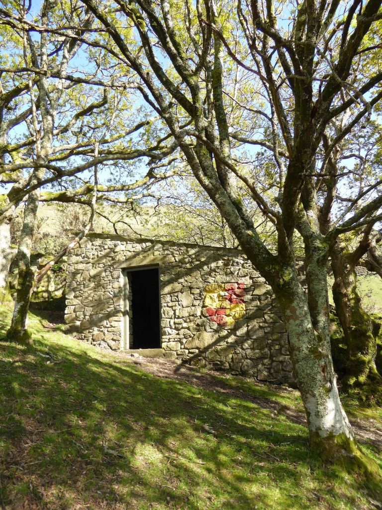 Castell y Bere: A Welsh Princely Castle in Gwynedd 3 Castell y Bere