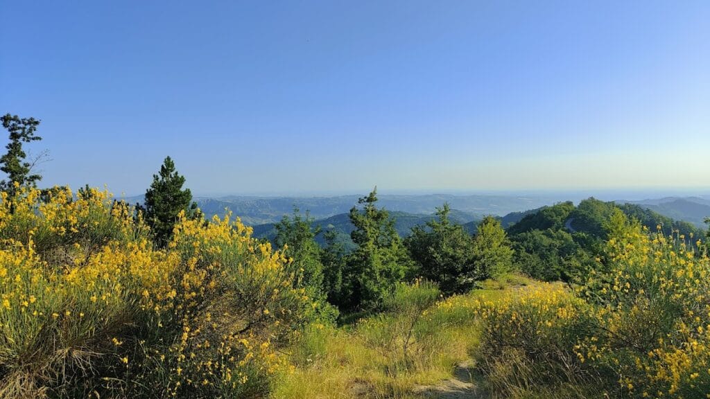 Rocca di Monte Battaglia: A Historic Lombard Fortress in Casola Valsenio, Italy 9 Rocca di Monte Battaglia