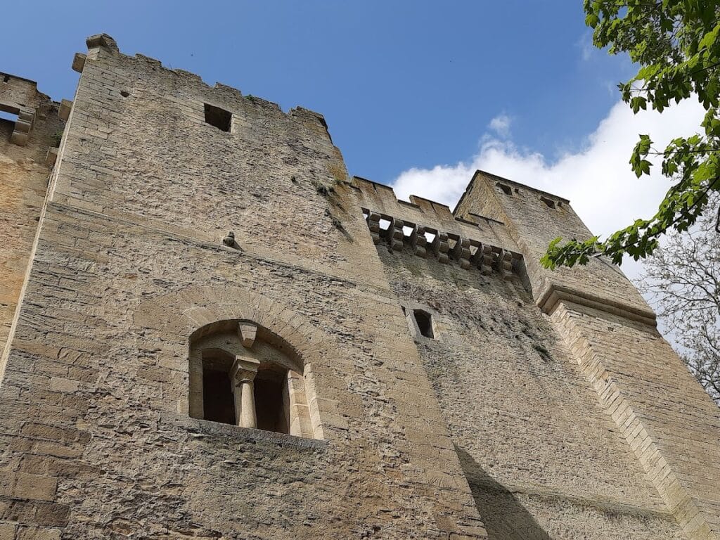 Donjon de Chambois