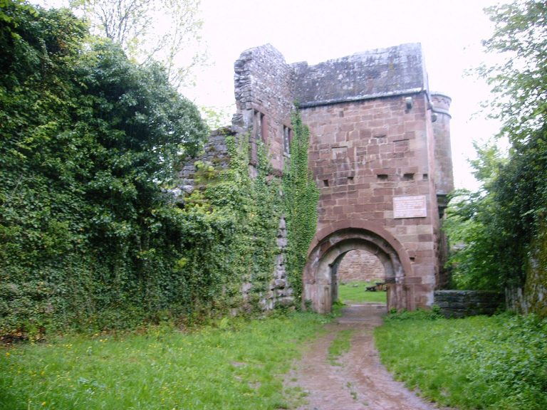 Wildenberg Castle: A Hohenstaufen-Period Castle Ruin in Germany