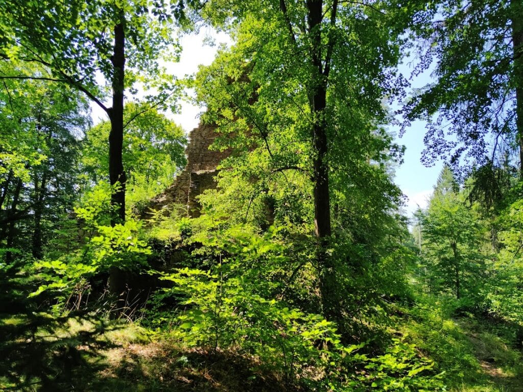 Pajrek: A Ruined Gothic Castle in Czechia 5 Pajrek