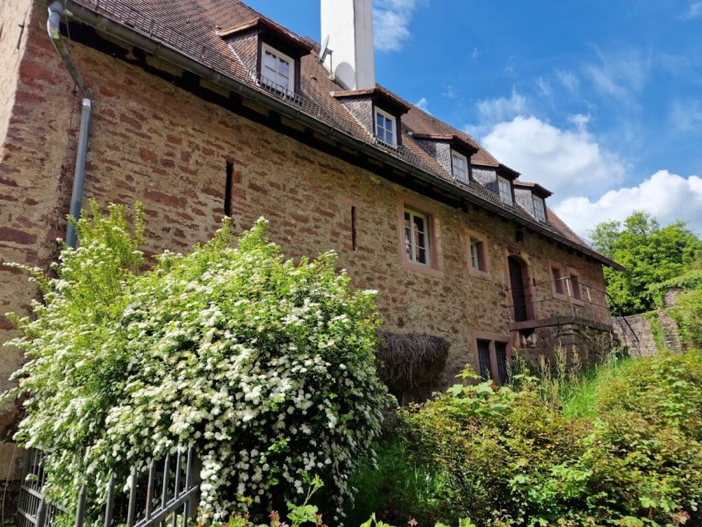 Hirschhorn Castle: A Medieval Hilltop Fortress and Renaissance Palace in Germany 3 Hirschhorn Castle
