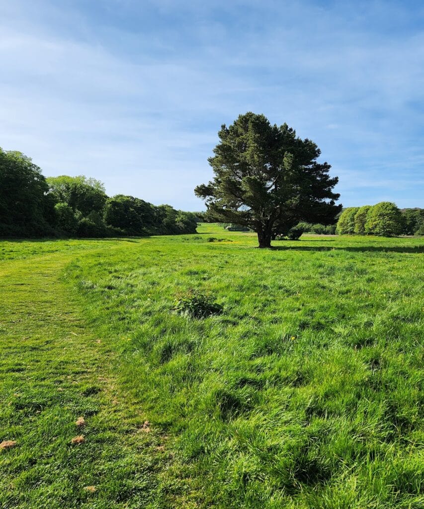 Howth Castle: A Historic Norman Estate in Dublin, Ireland 10 Howth Castle