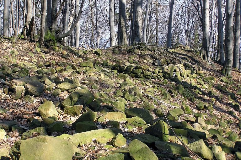 Starý Světlov: A Medieval Gothic Castle Ruin in Czechia