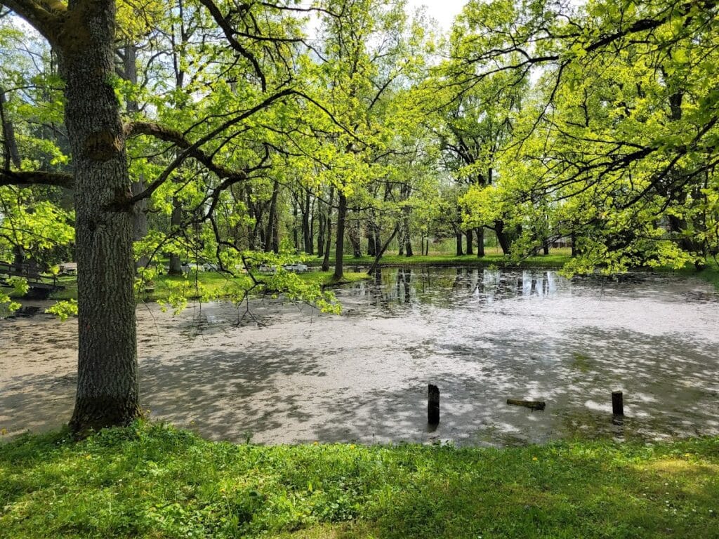 Burtnieki Castle: A Historic Livonian Stronghold in Latvia 8 Burtnieki Castle