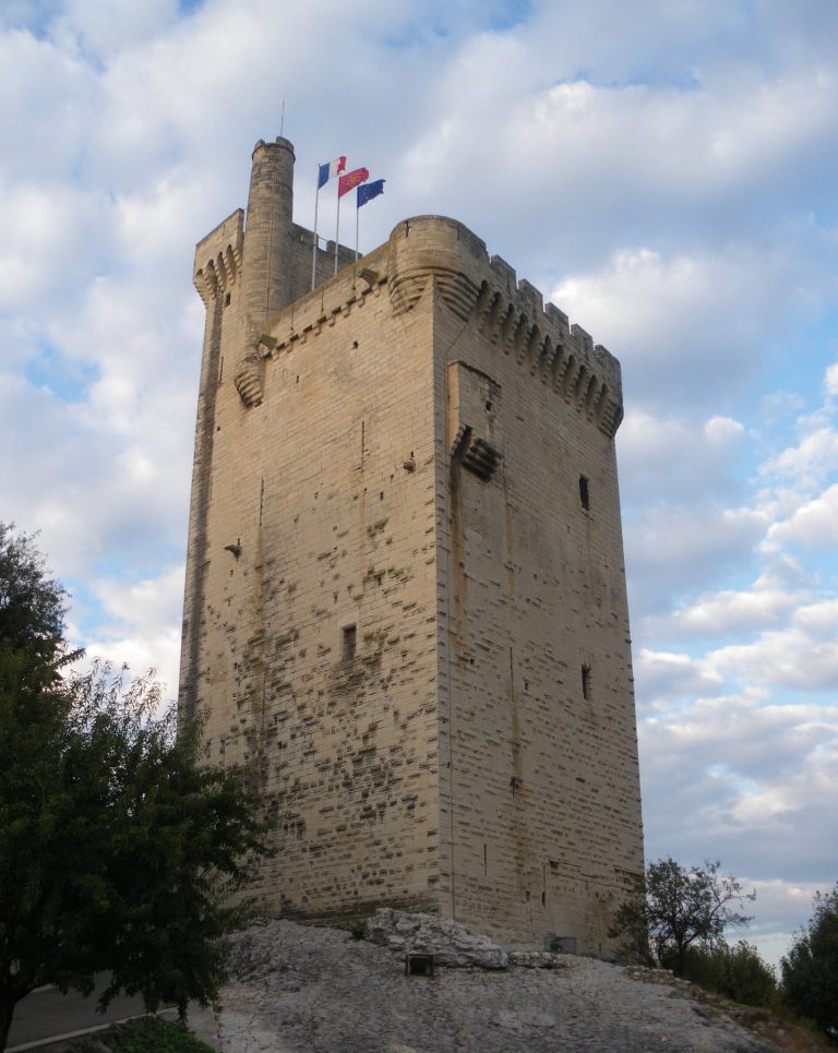 Tower of Philip the Fair: A Medieval Fortress at the Rhône Crossing