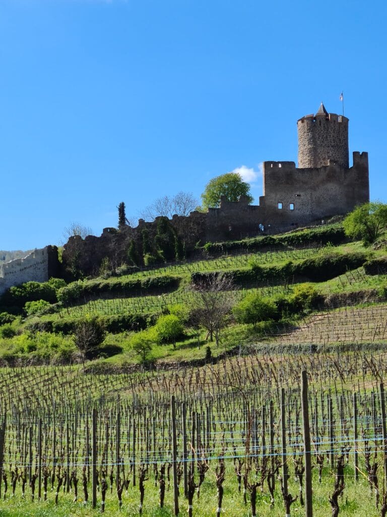 Château de Kaysersberg: An Imperial Fortress in Alsace 3 Château de Kaysersberg