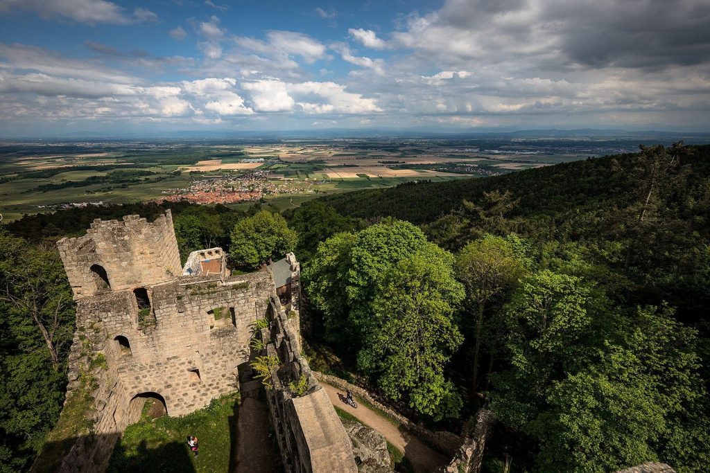 Château du Bernstein: A Medieval Fortress in France 2 Château du Bernstein