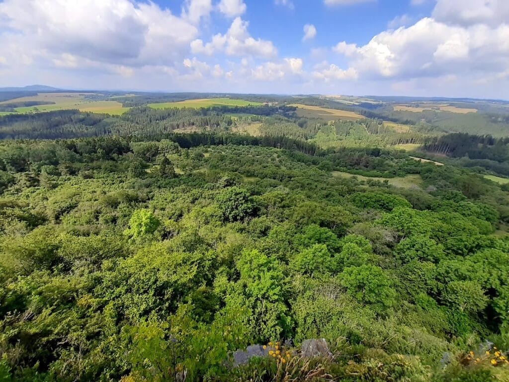 Švamberk Castle: A Medieval Fortress in the Czech Republic 9 Švamberk Castle
