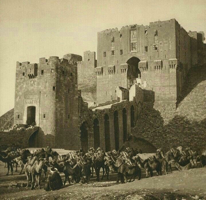 Citadel of Aleppo: A Historic Fortress in Syria 9 Citadel of Aleppo